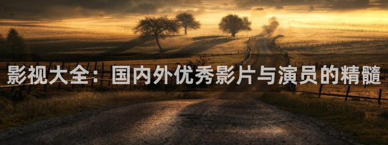 不卡一区电影：影视大全：国内外优秀影片与演员的精髓