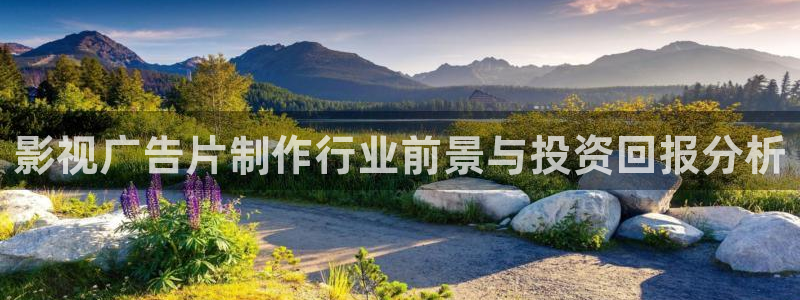 不卡电影一级：影视广告片制作行业前景与投资回报分析