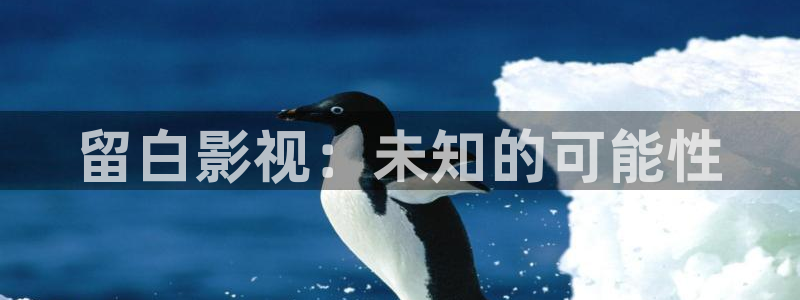 日本不卡电影网站：留白影视：未知的可能性