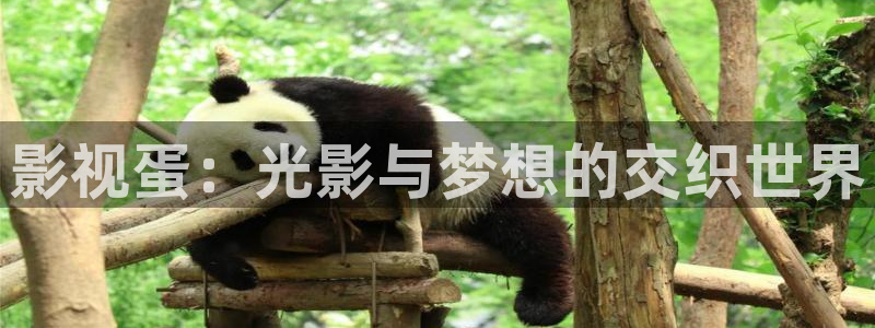 神马影院不卡不卡：影视蛋：光影与梦想的交织世界
