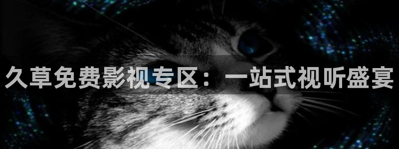 一道本不卡视频在线：久草免费影视专区：一站式视听盛宴