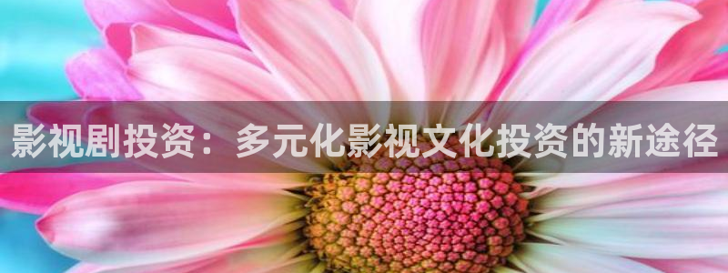 不卡一区电影