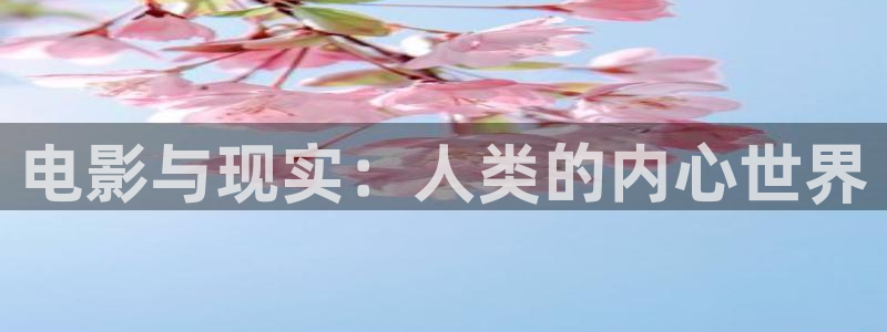 毛片不卡一区