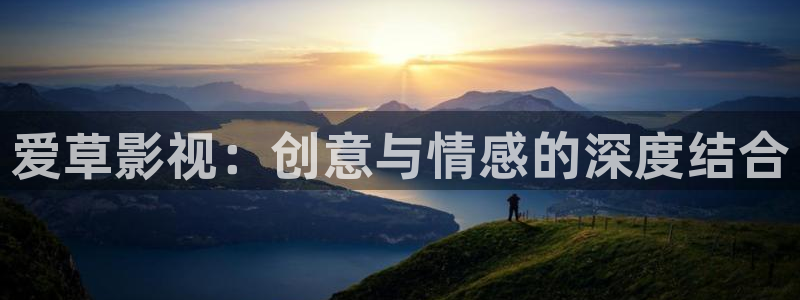 不卡在线看：爱草影视：创意与情感的深度结合