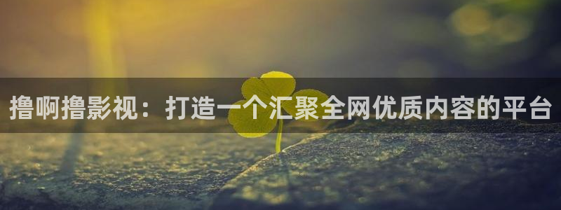 日本不卡高清一区,二区,三区：撸啊撸影视：打造一个汇聚全网优质内容的平台