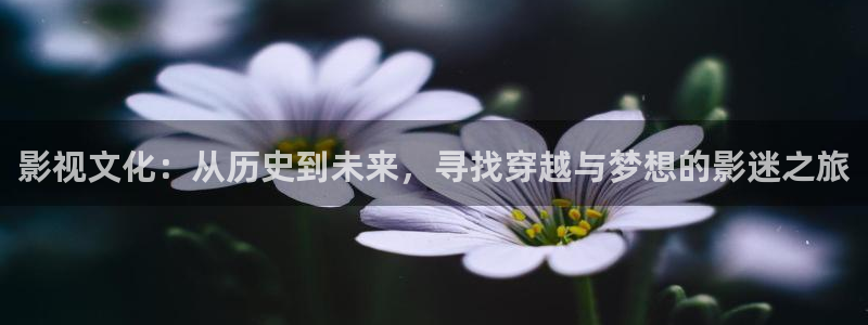 免费a级片在线观看无毒不卡：影视文化：从历史到未来，寻找穿越与梦想的影迷之旅
